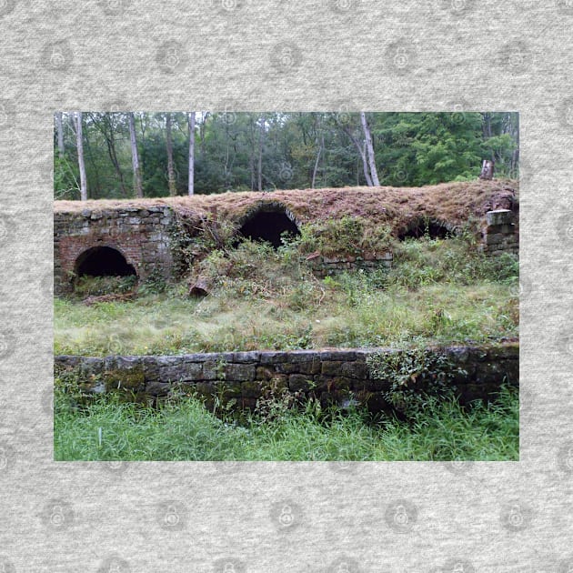 Cherry Valley Coke Ovens, Leetonia Ohio by Mzzart